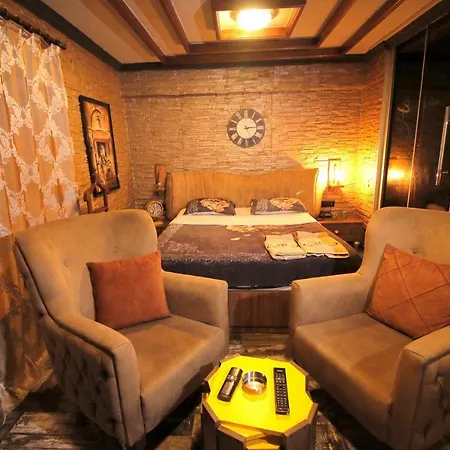 Apartment Elegant House